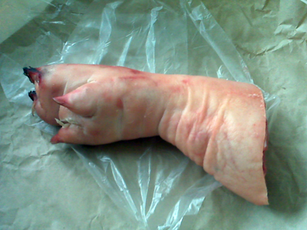 pig trotter