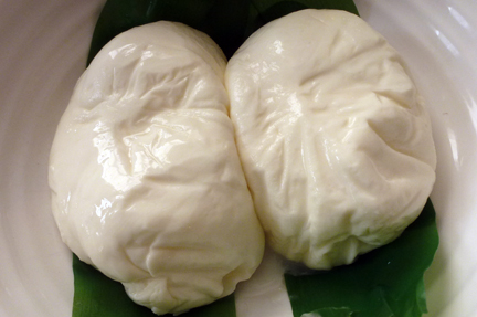 burrata