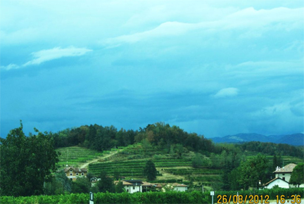 friuli harvest 2012