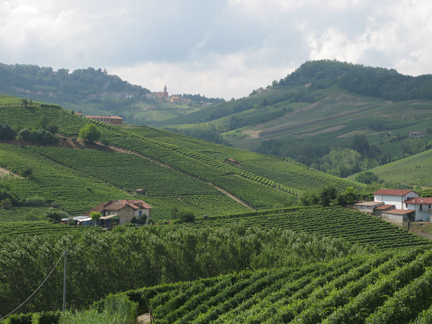 monforte alba david berry green