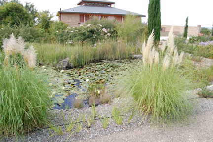 soldera palude swamp montalcino deconstruction derrida barthes eco