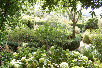 soldera white garden terroir montalcino brunello