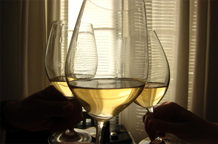 best wine glass best stemware wine