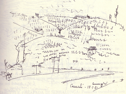 cannubi vineyard barolo mascarello barolo cannubi