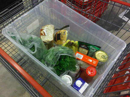 Single-Use Carryout Bag Ordinance