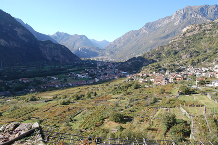 valle d'aosta wines eric asimov