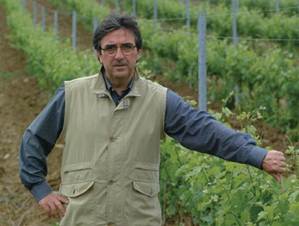 riccardo cotarella