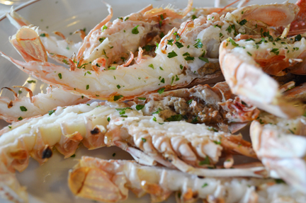 scampi alla griglie grilled langoustine