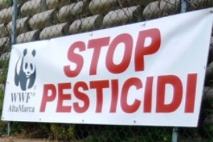 pesticide protest