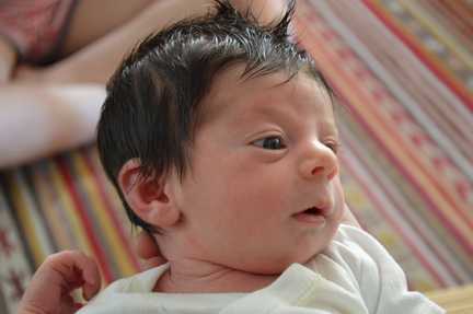 lila jane one week one day