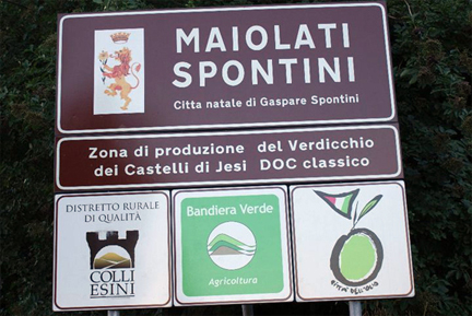 maiolati spontini