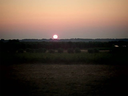 dawn salento sunrise puglia