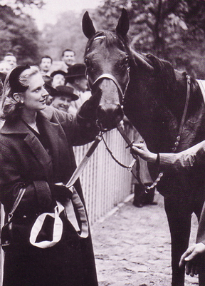 sassicaia super tuscan