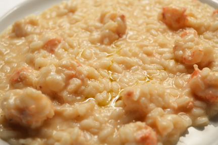 risotto scampi