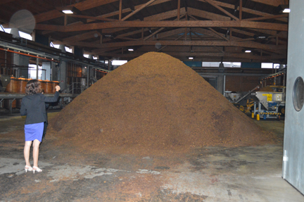 grape pomace grappa marc