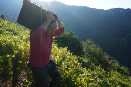 walter batte prima terra cinque terre
