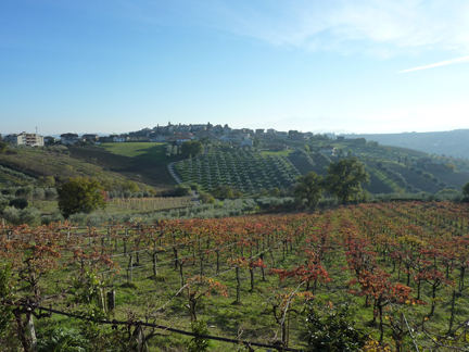 emidio pepe montepulciano