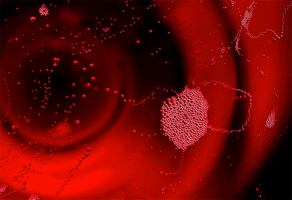 best wine photography