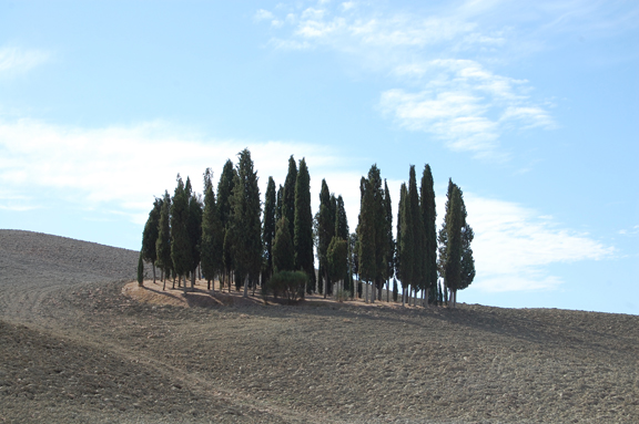 highest rated suckling brunello