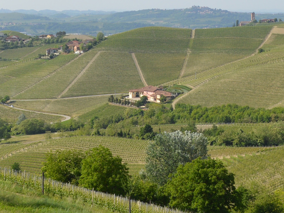 asili martinenga barbaresco rabaja thumb