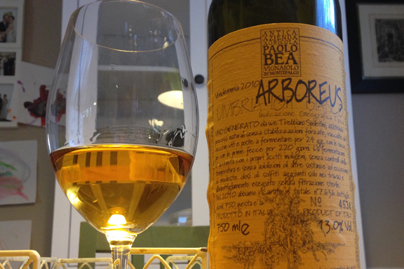 arboreus bea natural wine grape