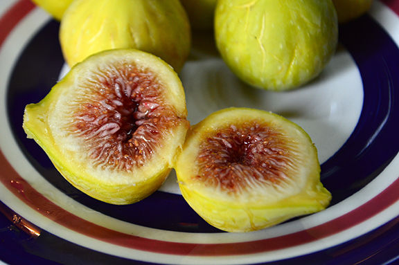 fig porn