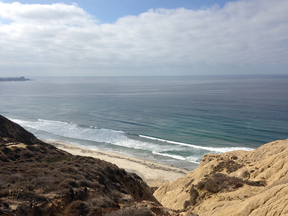 la jolla california blacks beach