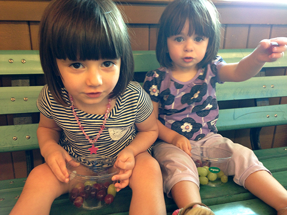 whole food market bellaire