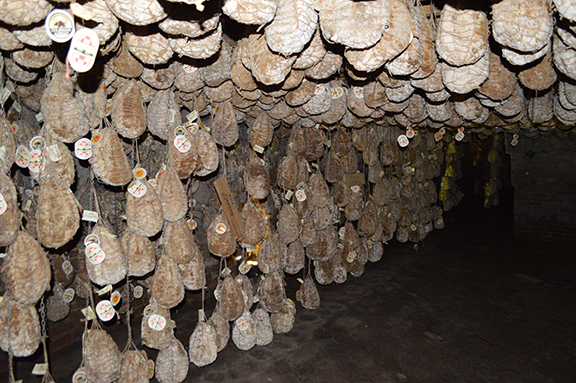 corte di pallavicina do bianchi