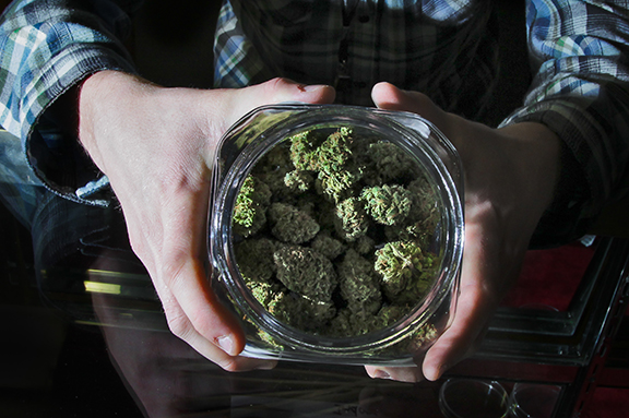 marijuana ohio ballot