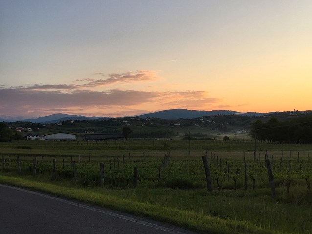 slovenia wine brda rebula