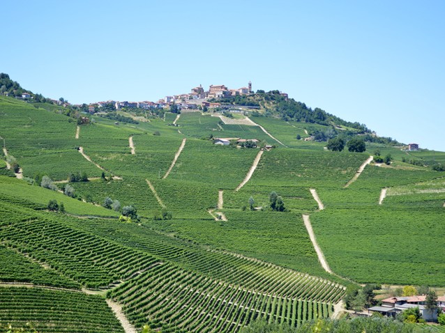 morra barolo license free