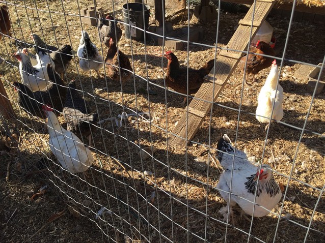 best-wine-shops-eugene-oregon