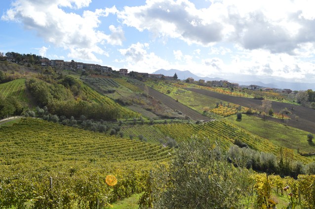 irpinia-wine-country-campania-greco